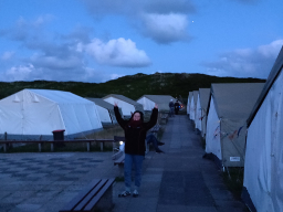Strandläufernest Sylt