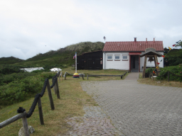 Strandläufernest Sylt