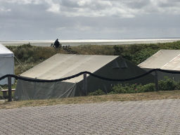 Strandläufernest Sylt