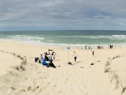 Strandläufernest Sylt