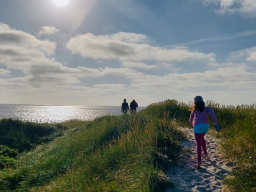 Strandläufernest Sylt